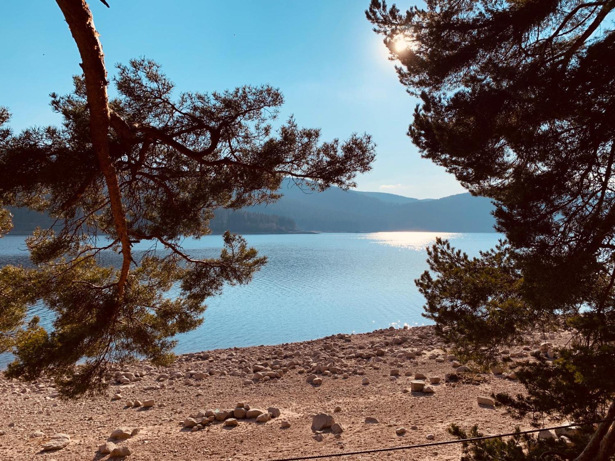 Kurhotel Schluchsee Apartment 2411 エクステリア 写真